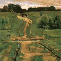 Open land